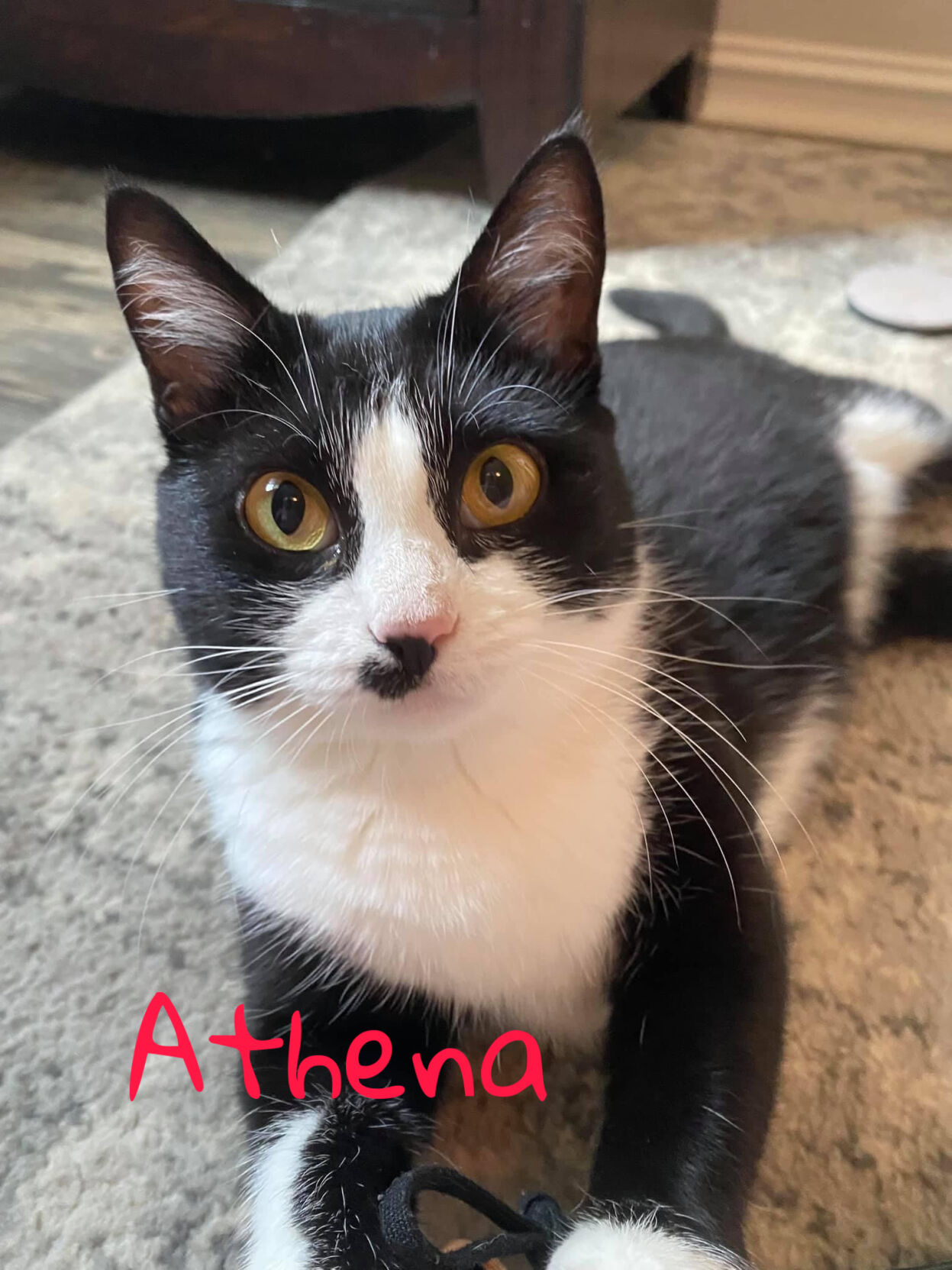 Athena